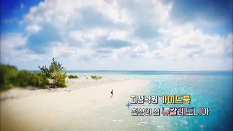 104. 지상낙원 가이드북, 천상의 섬 뉴칼레도니아