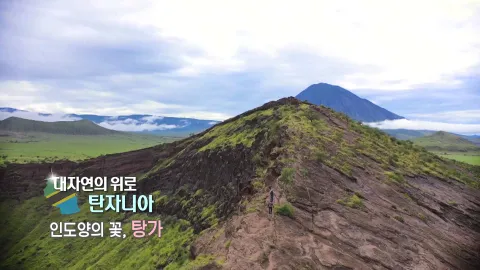 106. 대자연의 위로, 탄자니아-인도양의 꽃, 탕가