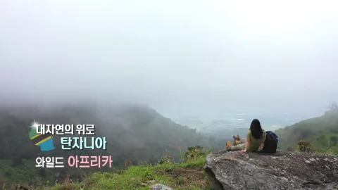 109. 대자연의 위로, 탄자니아-와일드 아프리카