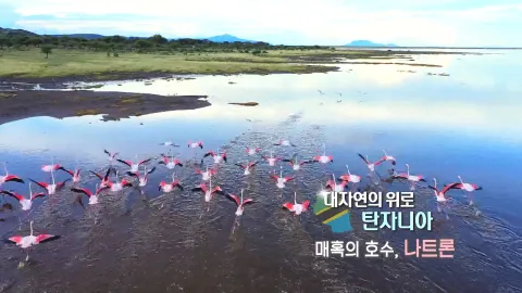 110. 대자연의 위로, 탄자니아-매혹의 호수, 나트론