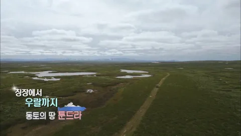 130. 칭장에서 우랄까지-동토의 땅 툰드라