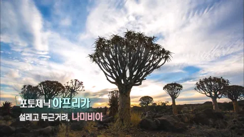 180. 포토제닉 아프리카-설레고 두근거려,나미비아