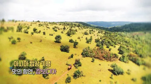 184. 아시아 밥상 기행-맛의 향연, 캄보디아