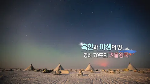 206. 혹한과 야생의 땅-영하 70도의 겨울왕국