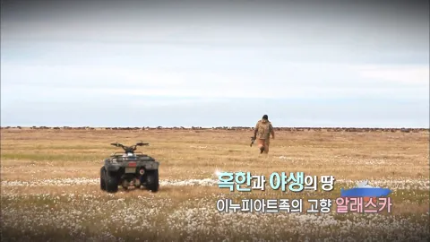 210. 혹한과 야생의 땅-이누피아트족의 고향,알래스카