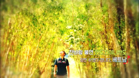 212. 찬바람 불면 인도차이나반도-잠깐 쉬었다 갑니다, 베트남