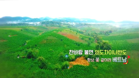 213. 찬바람 불면 인도차이나반도-항상 꽃 같아라, 베트남
