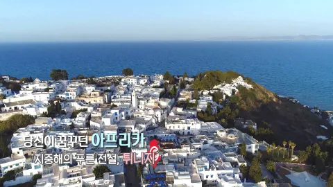 229. 당신이 꿈꾸던 아프리카-지중해의 푸른 전설,튀니지