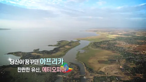 230. 당신이 꿈꾸던 아프리카-찬란한 유산,에티오피아
