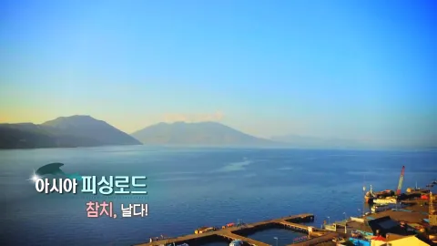 237. 아시아 피싱로드-참치, 날다!