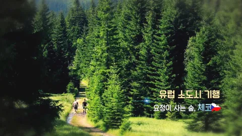 255. 유럽 소도시 기행-요정이 사는 숲, 체코