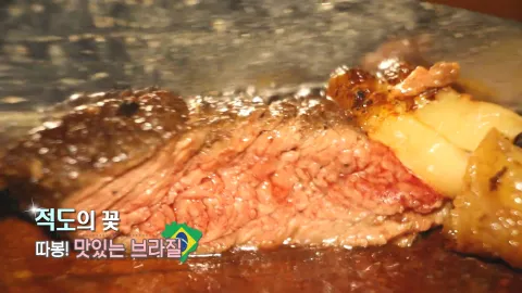 269. 적도의 꽃-따봉! 맛있는 브라질