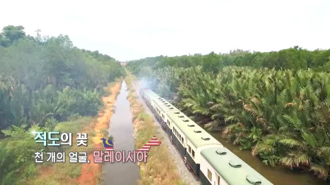 270. 적도의 꽃-천 개의 얼굴, 말레이시아