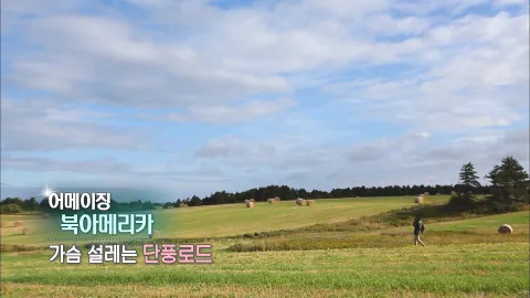 280. 어메이징 북아메리카-가슴 설레는 단풍로드