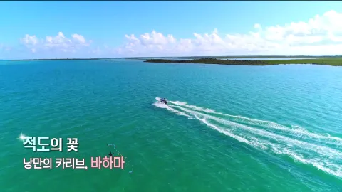 267. 적도의 꽃-낭만의 카리브, 바하마