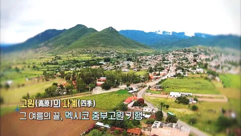 362. 고원의 사계-그 여름의 끝, 멕시코 중부고원기행