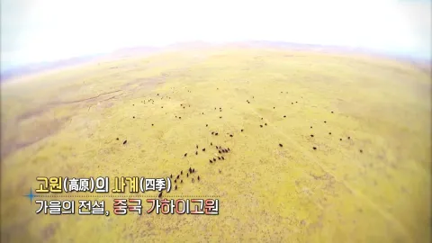363. 고원의 사계-가을의 전설, 중국 가하이고원