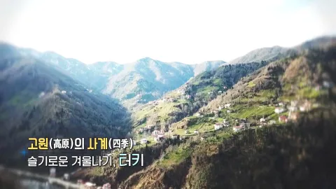 365. 고원의 사계-슬기로운 겨울나기, 터키
