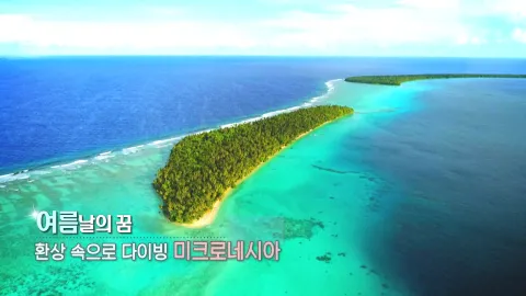 370. 여름날의 꿈-환상 속으로 다이빙, 미크로네시아
