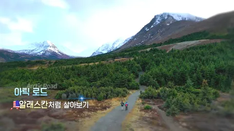 373. 아틱 로드-알래스칸처럼 살아보기