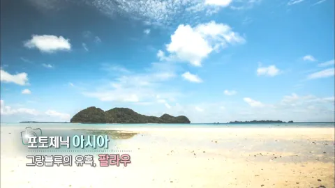 376. 포토제닉 아시아-그랑블루의 유혹, 팔라우