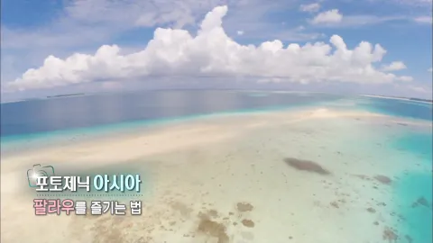377. 포토제닉 아시아-팔라우를 즐기는 법