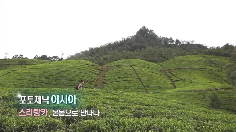 380. 포토제닉 아시아-스리랑카, 온몸으로 만나다