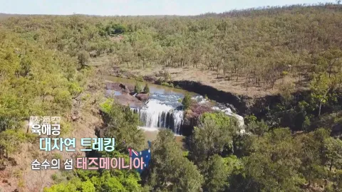 408. 육해공 대자연 트레킹-순수의 섬, 태즈메이니아