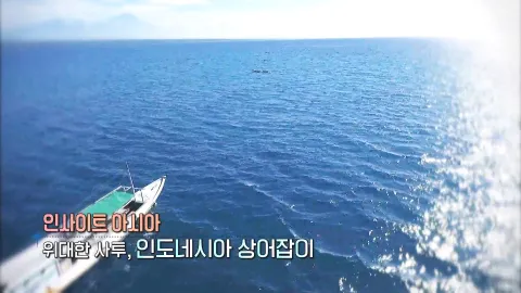 425. 인사이트 아시아-위대한 사투, 인도네시아 상어잡이