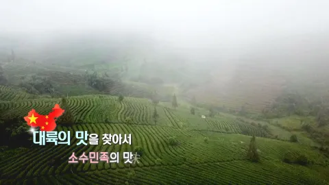 430. 대륙의 맛을 찾아서-소수민족의 맛