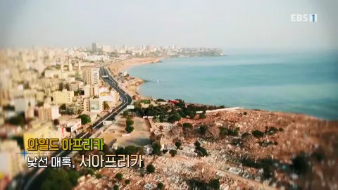 445. 와일드 아프리카-낯선 매혹, 서아프리카