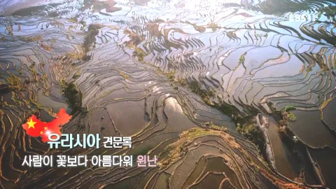 449. 유라시아 견문록-사람이 꽃보다 아름다워, 윈난