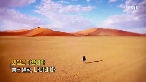 442. 와일드 아프리카-붉은 열정, 나미비아