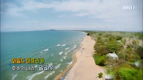 443. 와일드 아프리카-호수의 나라, 말라위 나라, 말라위