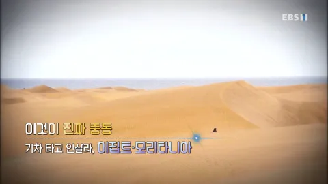 452. 이것이 진짜 중동-기차 타고 인샬라, 이집트. 모리타니아