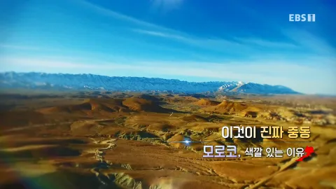 453. 이것이 진짜 중동-모로코, 색깔 있는 이유