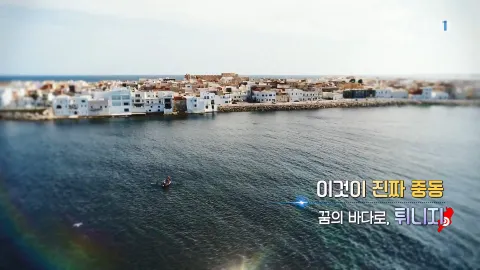 455. 이것이 진짜 중동-꿈의 바다로, 튀니지