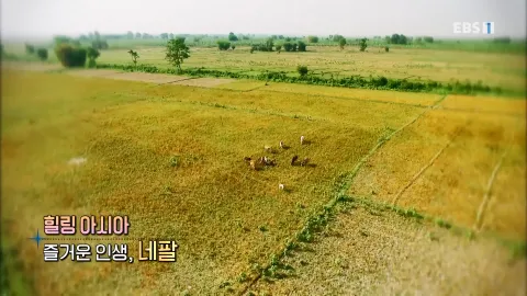 464. 힐링 아시아-즐거운 인생, 네팔