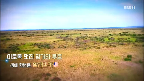 473. 이토록 멋진 장거리 루트-생애 한번쯤, 알래스카