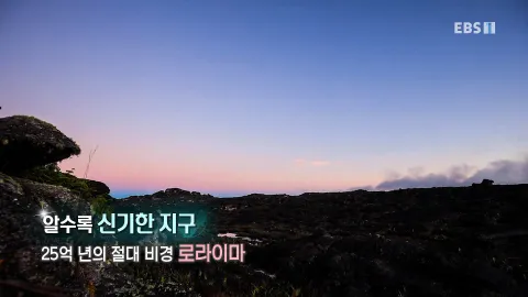 477. 알수록 신기한 지구-25억년의 절대 비경, 로라이마