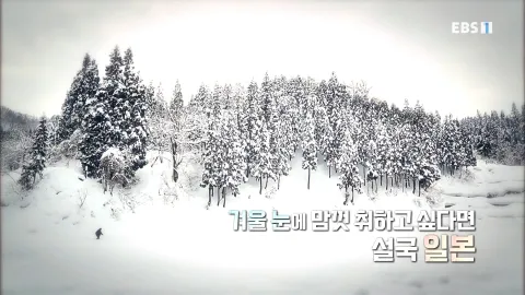 492. 겨울엔 여기- 설국 판타지, 일본