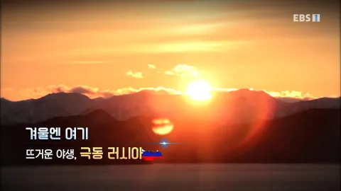 495. 겨울엔 여기- 뜨거운 야생, 극동 러시아