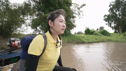 729. 알수록 놀라운, 베트남 남부-남(南), 부러운 인생