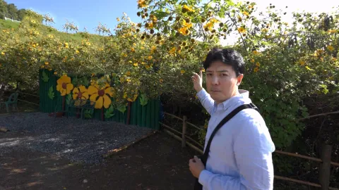 746. 흥미 백배 요즘 뜨는 태국-굽이굽이 고갯길, 매홍손 루프