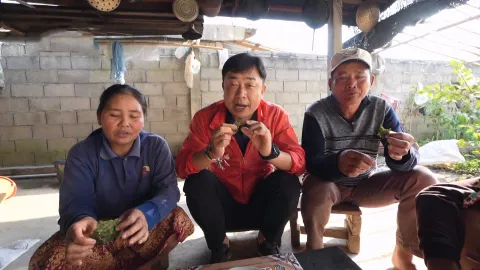 791. 쉼이 필요할 땐,라오스-루앙프라방에 뭐가 있는데요?