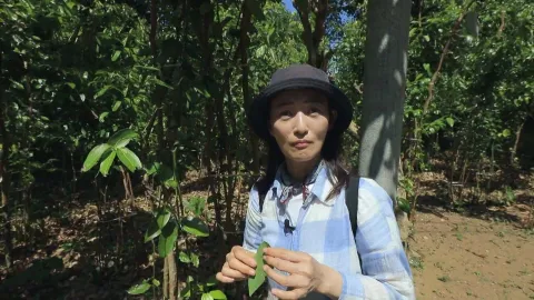 803. 뜻밖의 행운 스리랑카-오감 만족, 시간 여행