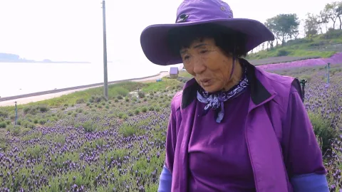 883. 내가 그린 꽃밭 5부 보랏빛 꿈