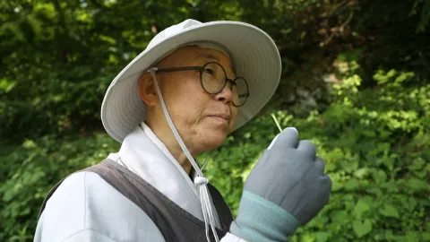 884. 봄이 머물라 하네 1부 미타암에 걸린 봄