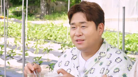 도원결의 특집