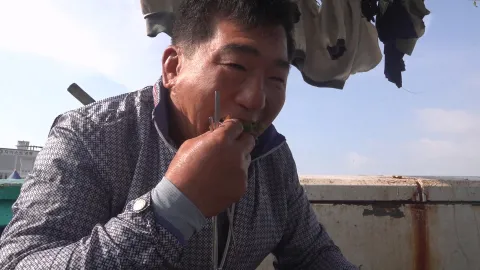 바다의 감칠맛! 기장 멸치와 완도 다시마